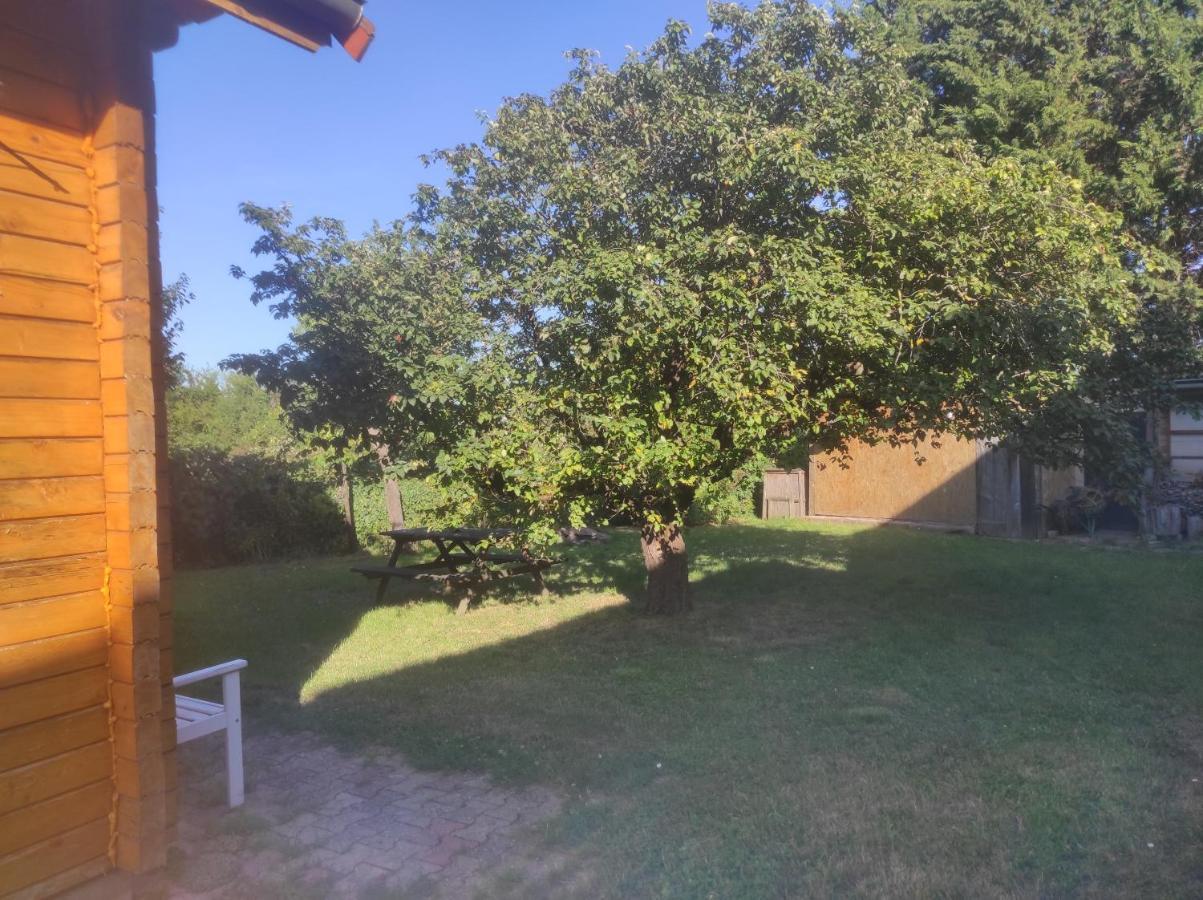 Chalet Du Florival Soultz-Haut-Rhin Dış mekan fotoğraf