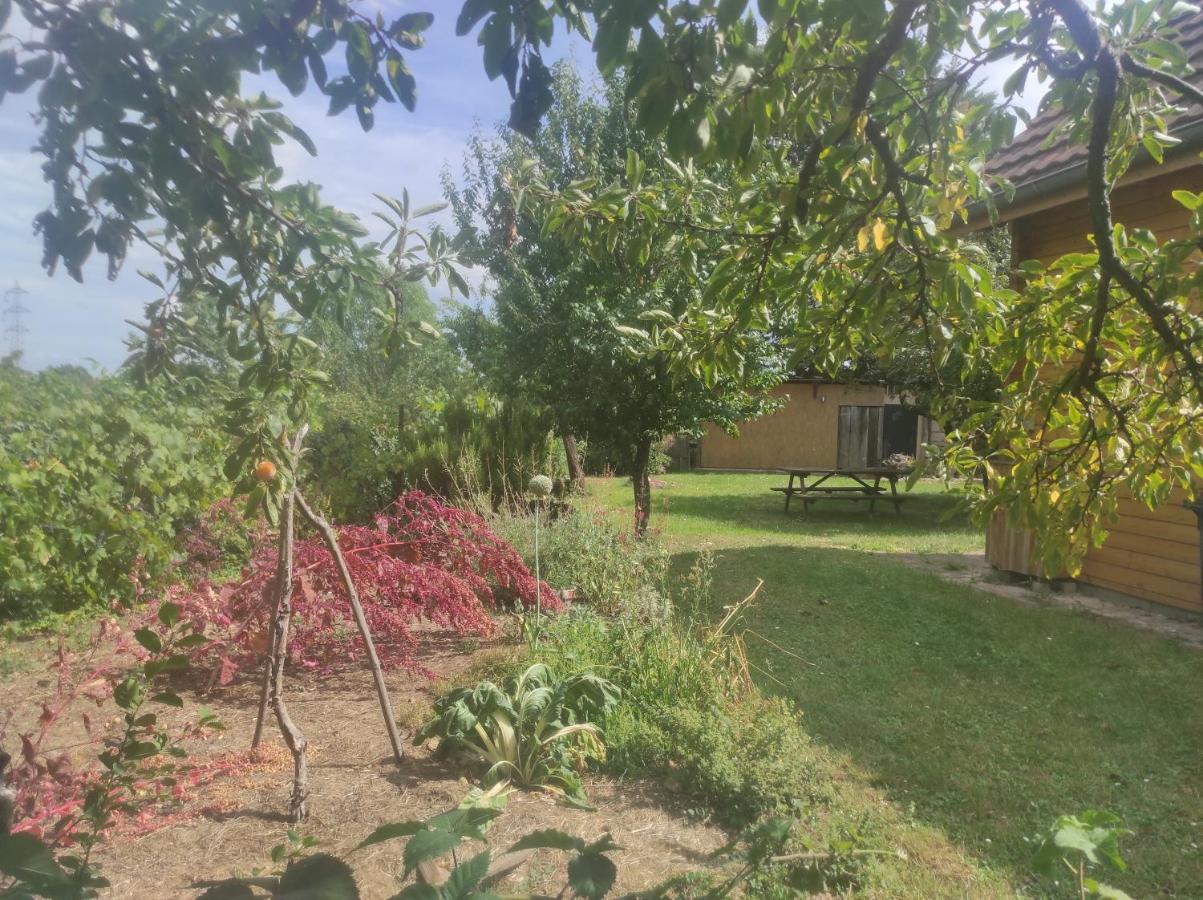 Chalet Du Florival Soultz-Haut-Rhin Dış mekan fotoğraf